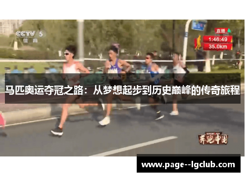 马匹奥运夺冠之路：从梦想起步到历史巅峰的传奇旅程